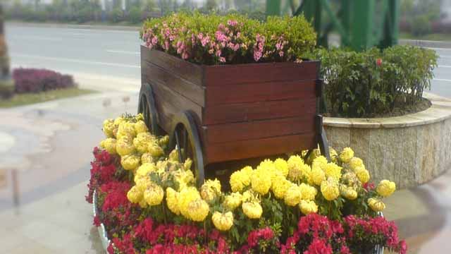 花箱、花车、花池集锦